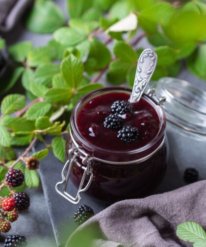 Pioneer Woman Blackberry Jelly