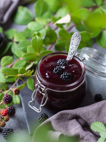 Pioneer Woman Blackberry Jelly - The Pioneer Kitchen