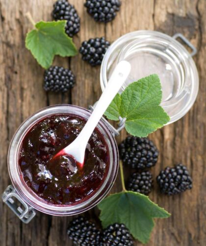 Pioneer Woman Blackberry Freezer Jam