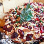 Pioneer Woman Cranberry Pecan Cheese Ball