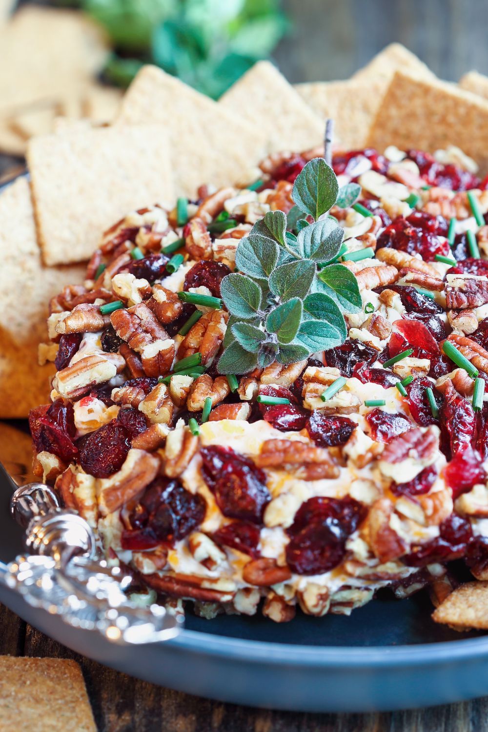 Pioneer Woman Cranberry Pecan Cheese Ball