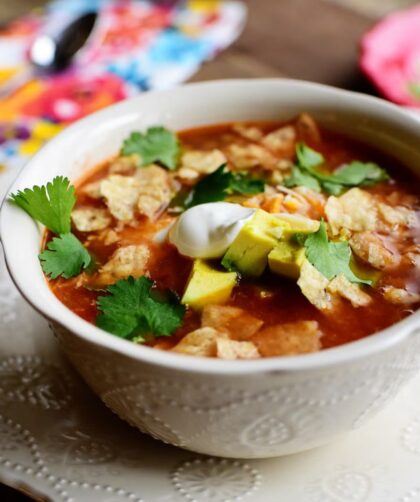 Pioneer Woman Crock Pot Chicken Tortilla Soup