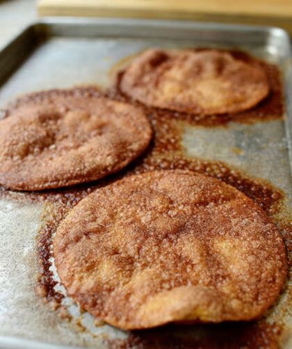 Pioneer Woman Cinnamon Crisps