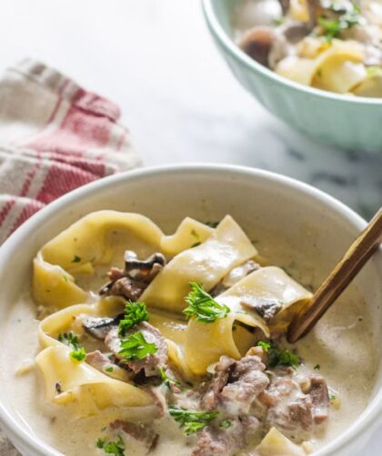 Pioneer Woman Beef Stroganoff Soup