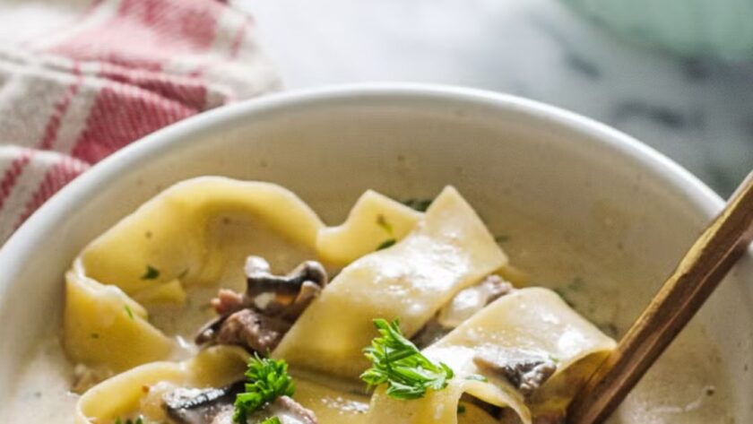 Pioneer Woman Beef Stroganoff Soup