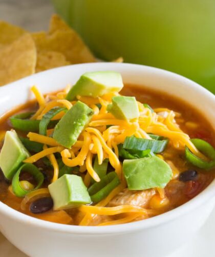 Pioneer Woman Chicken Enchilada Soup