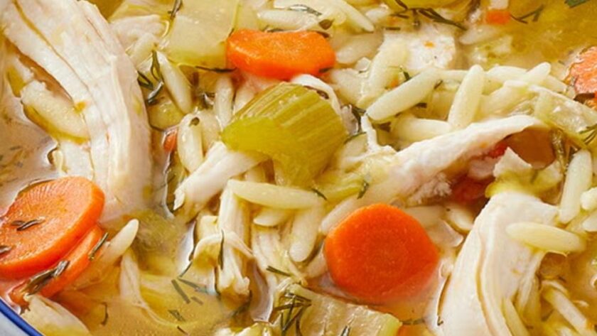 Pioneer Woman Lemon Chicken Orzo Soup