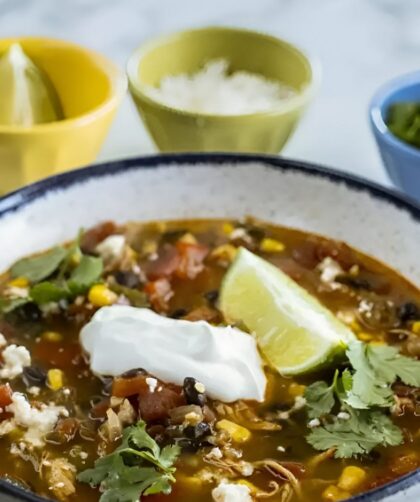 Pioneer Woman Spicy Chicken And Black Bean Soup