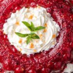 Pioneer Woman Cranberry Salad