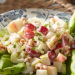 pioneer woman waldorf salad​