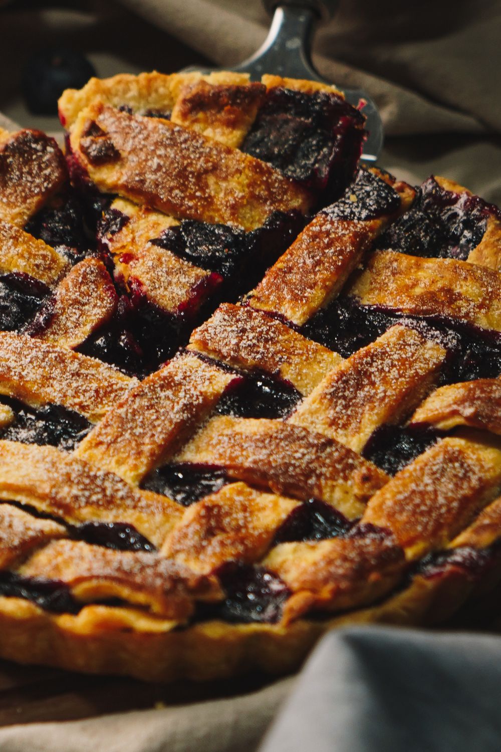 Pioneer Woman Blueberry Pie Recipe