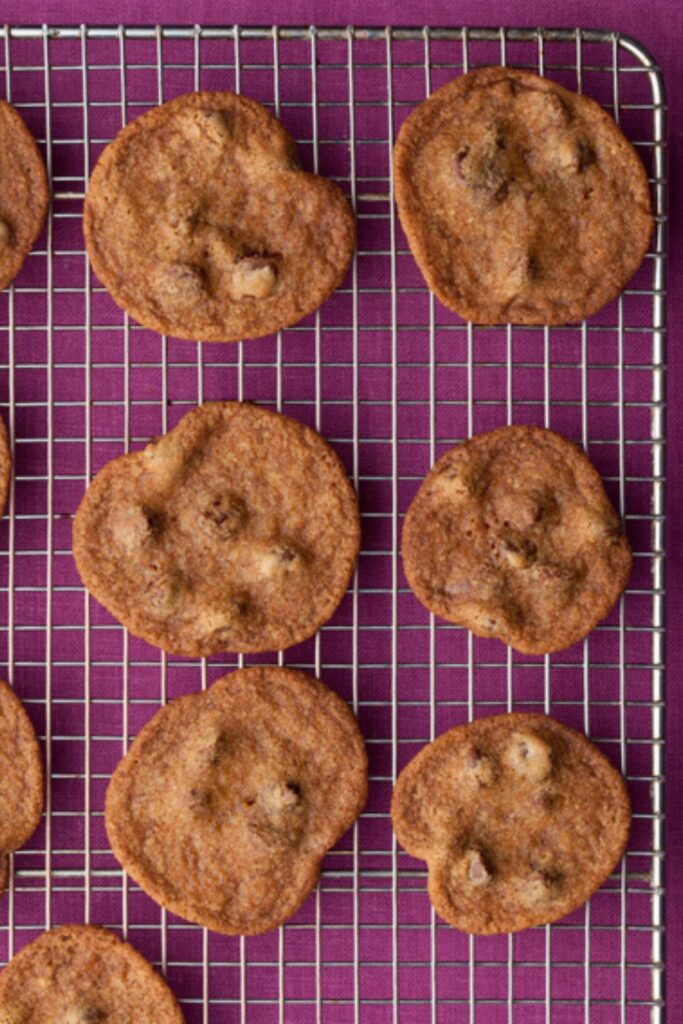 Pioneer Woman Malted Chocolate Chip Cookies