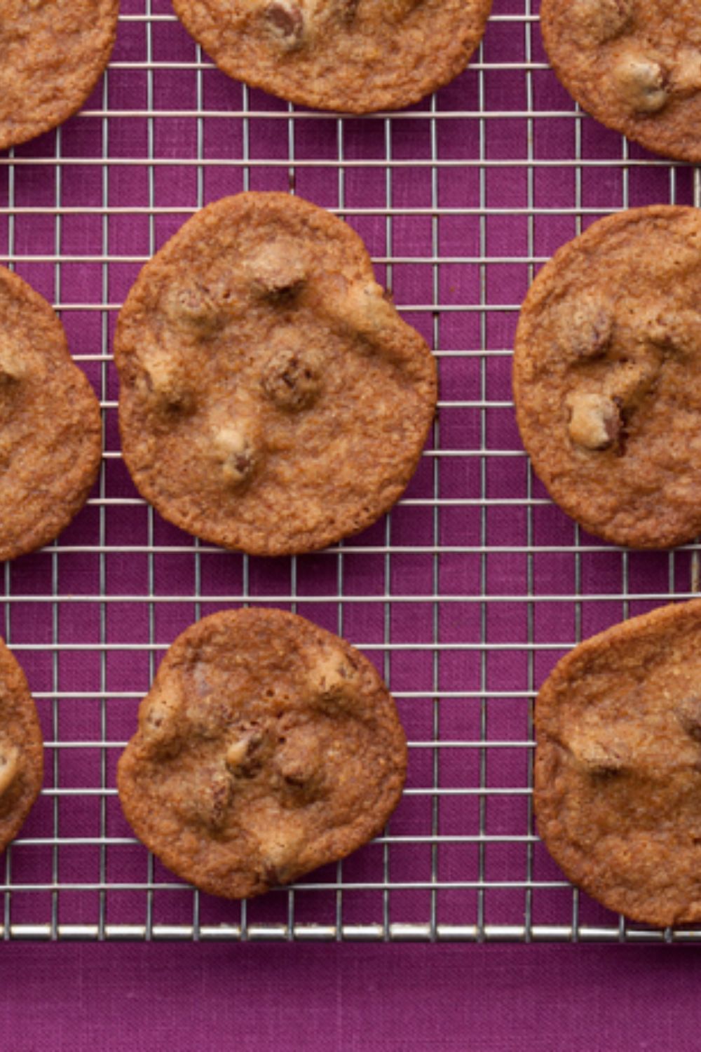 Pioneer Woman Malted Chocolate Chip Cookies