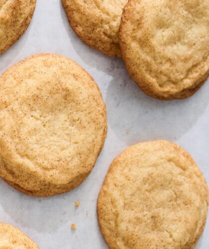 Pioneer Woman Snickerdoodle Cookies