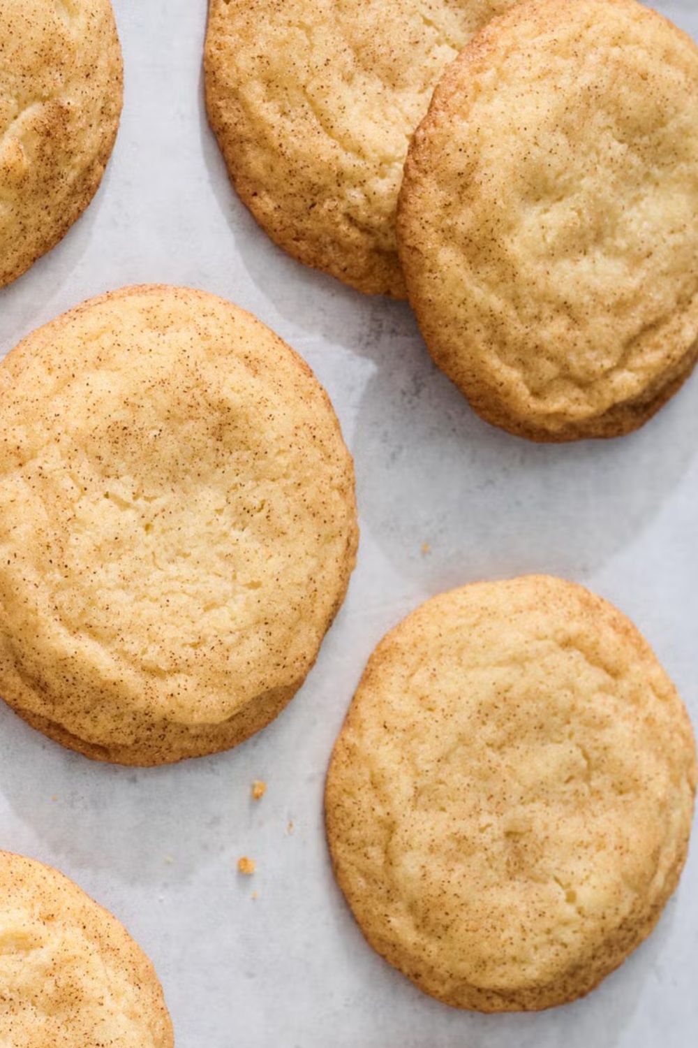 Pioneer Woman Snickerdoodle Cookies